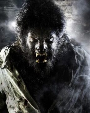 فيلم The WolfMan الليلة